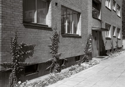 Building at 8 Asfaltowa Street, view from the garden